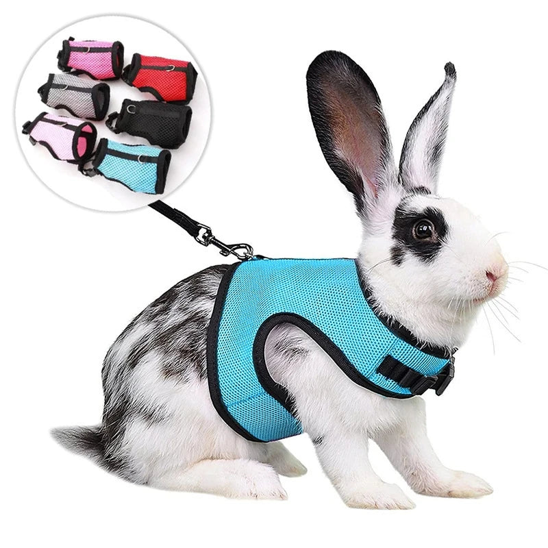 Breathable Mutil-Colors Stylish Vest Small Pet Carrier Bag