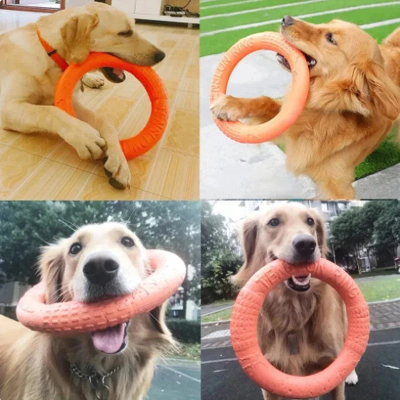 Orange Dog Toys Pet Flying Disk