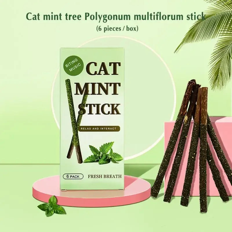 Natural Matatabi Cat Sticks – Silvervine Chew Toys for Healthy Teeth & Playtime 🐱🌿