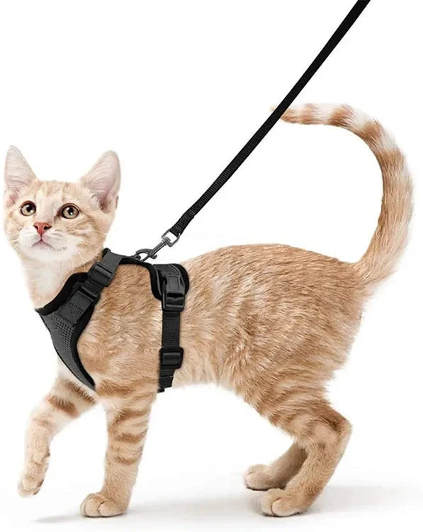 ATUBAN Cat Harness and Leash Set