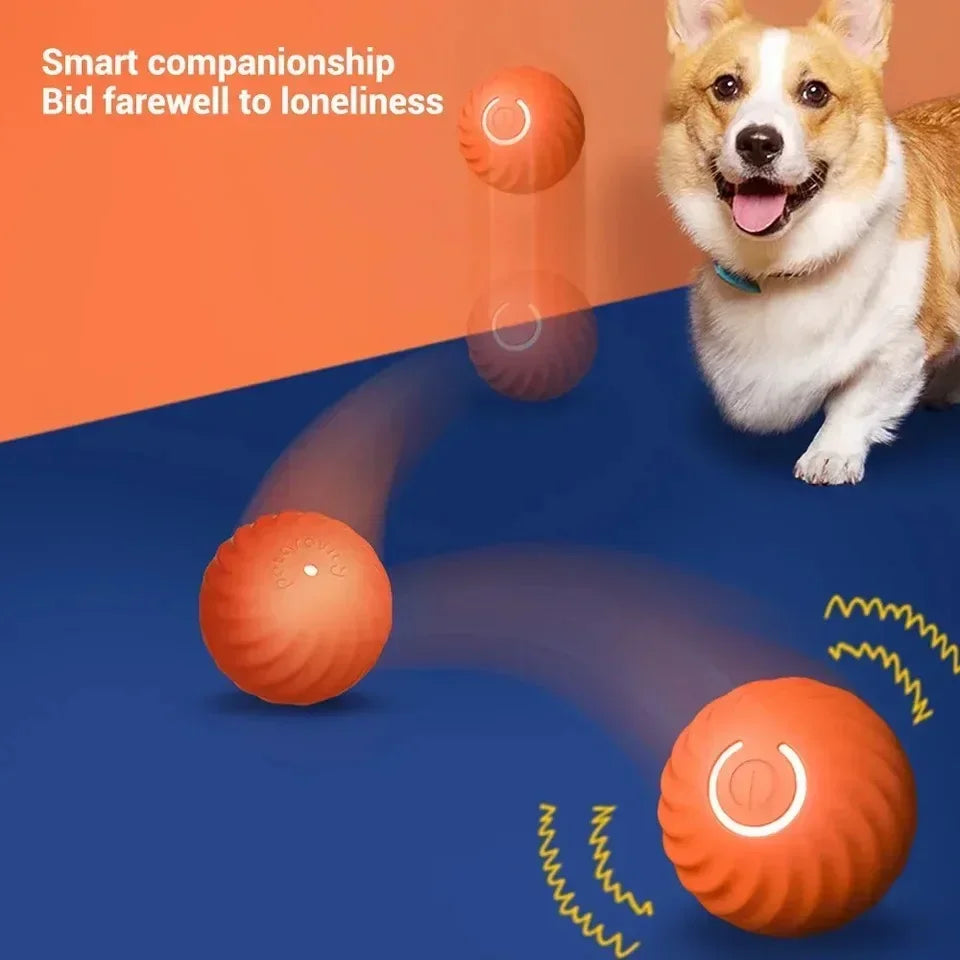 Automatic Electronic Interactive Training Pet Toy