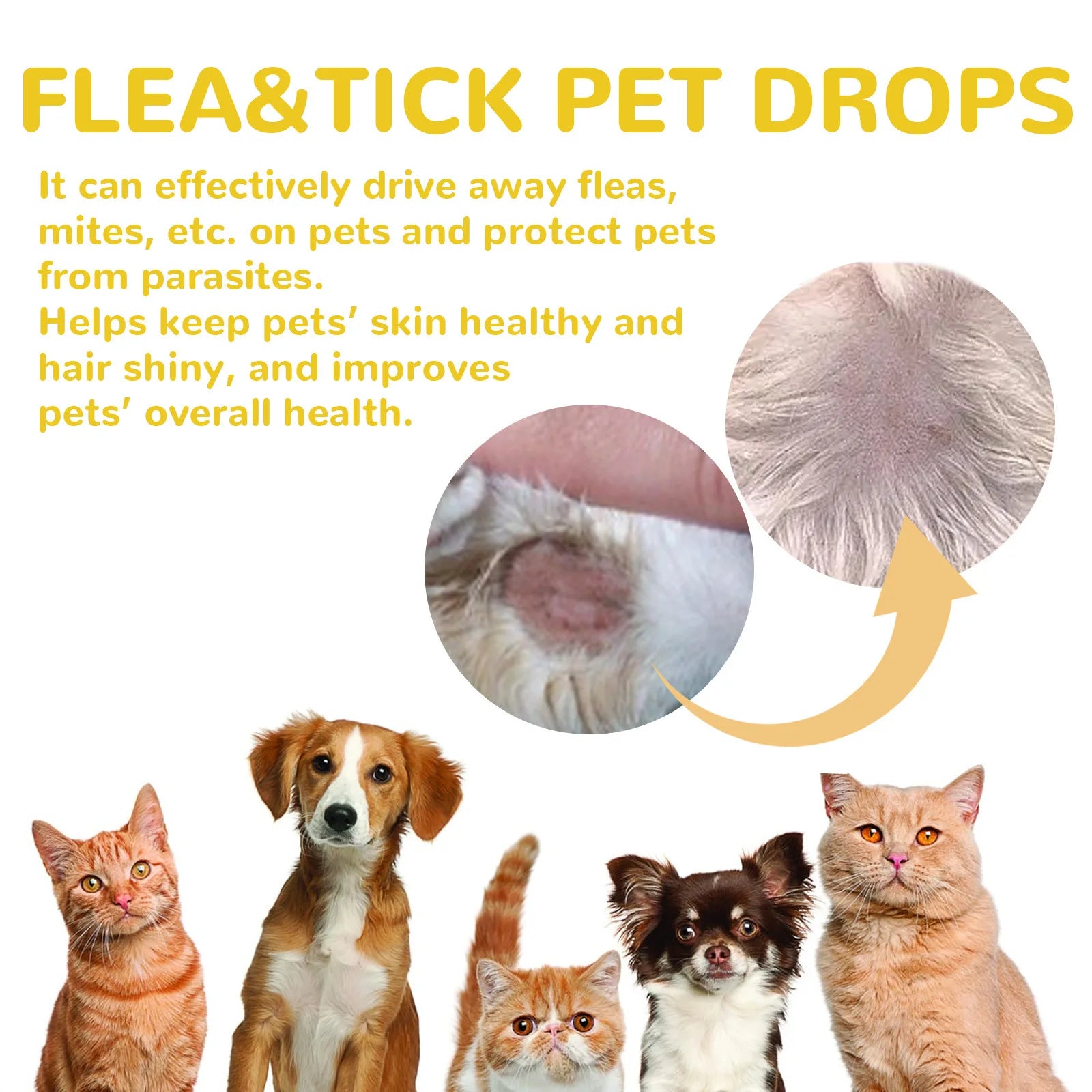 Pet Insect Repellent Drops – Flea & Tick Protection for Cats & Dogs 🐾🦟