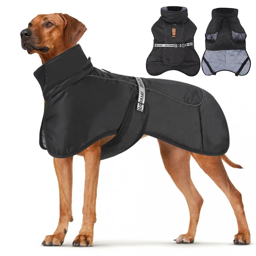 CDDMPET Winter Dog Jacket – Warm & Stylish Polyester Coat for Small, Medium & Large Dogs 🐶