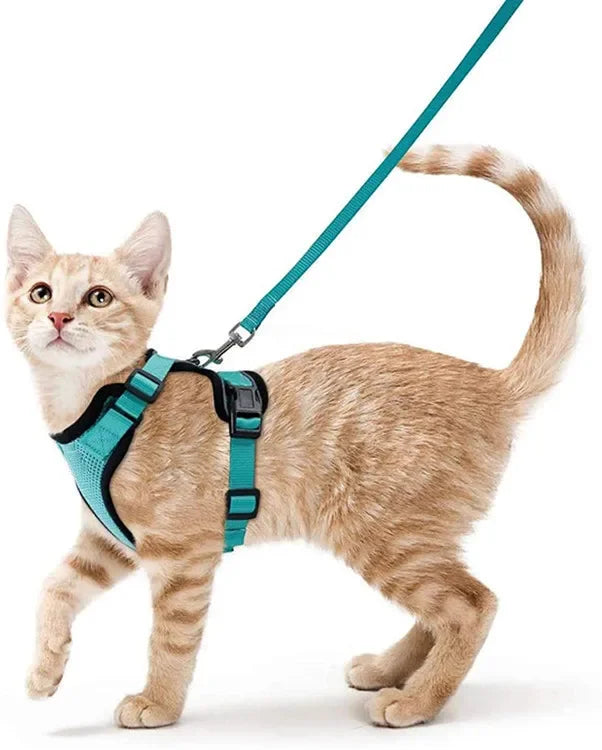 ATUBAN Cat Harness and Leash Set