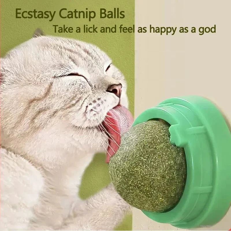 Natural Catnip Scratching Post – Wall-Mounted Scraper & Cat Ball Toy for Healthy Play 🐱🌿