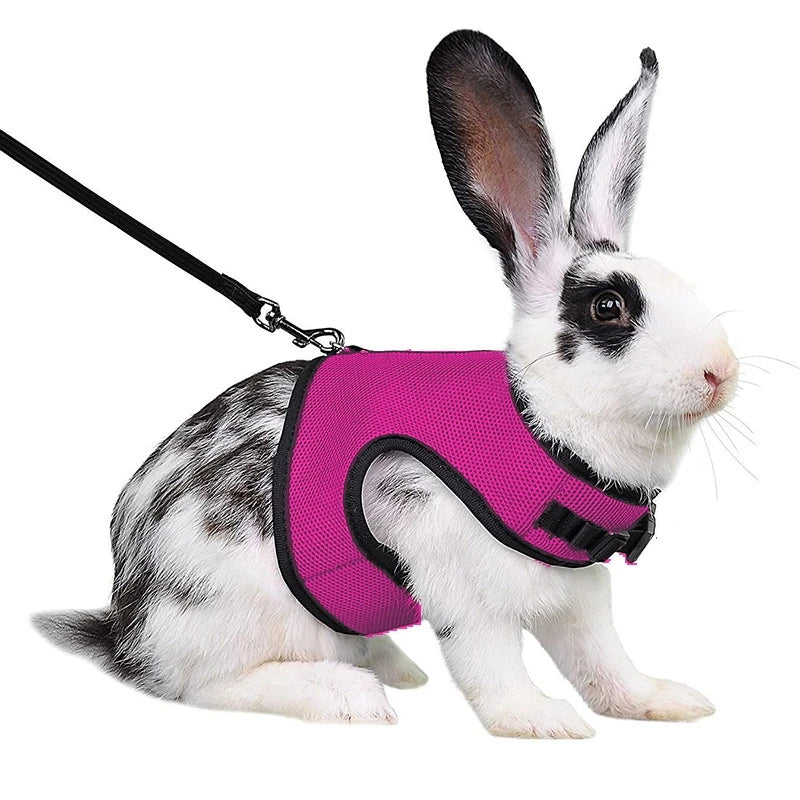 Breathable Mutil-Colors Stylish Vest Small Pet Carrier Bag