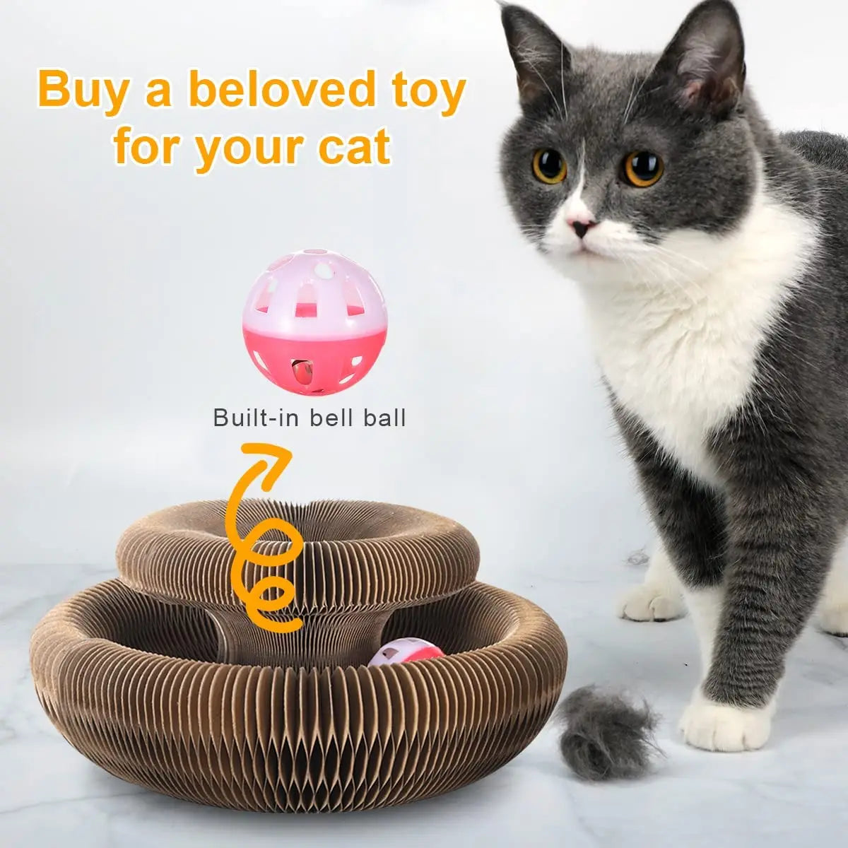 Magic Cat Scratch Organ Board – Interactive Cat Toy with Ball & Claw Grinding Scratcher 🐱🎾