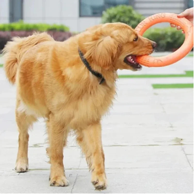 Orange Dog Toys Pet Flying Disk