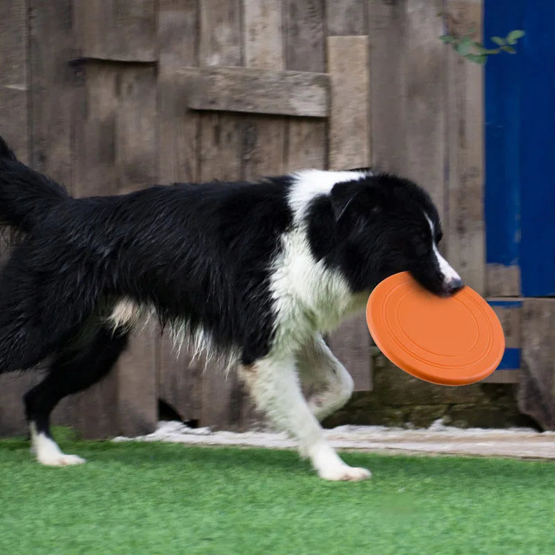 Silicone Pet Training Flying Saucer Disk