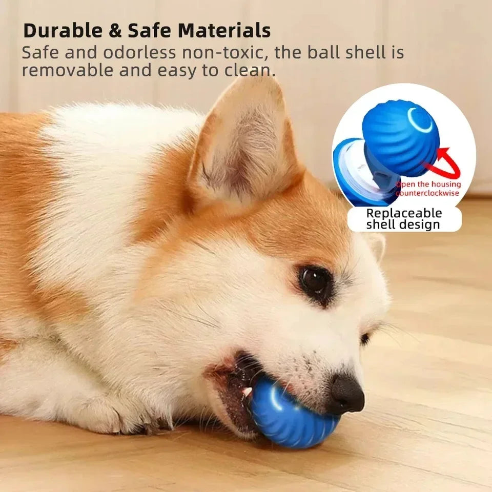 Automatic Electronic Interactive Training Pet Toy