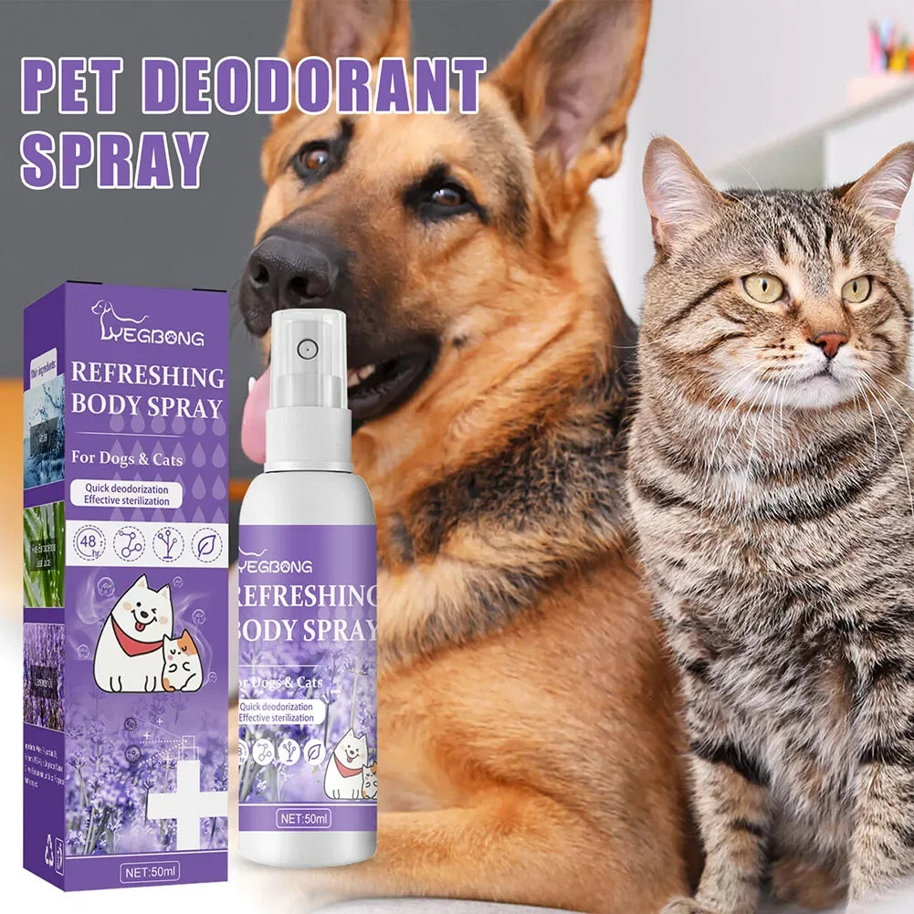 Lavender Oil Dog Deodorizer Spray – Long-Lasting Odor Removal for Dogs & Cats 🐶🐱🌿