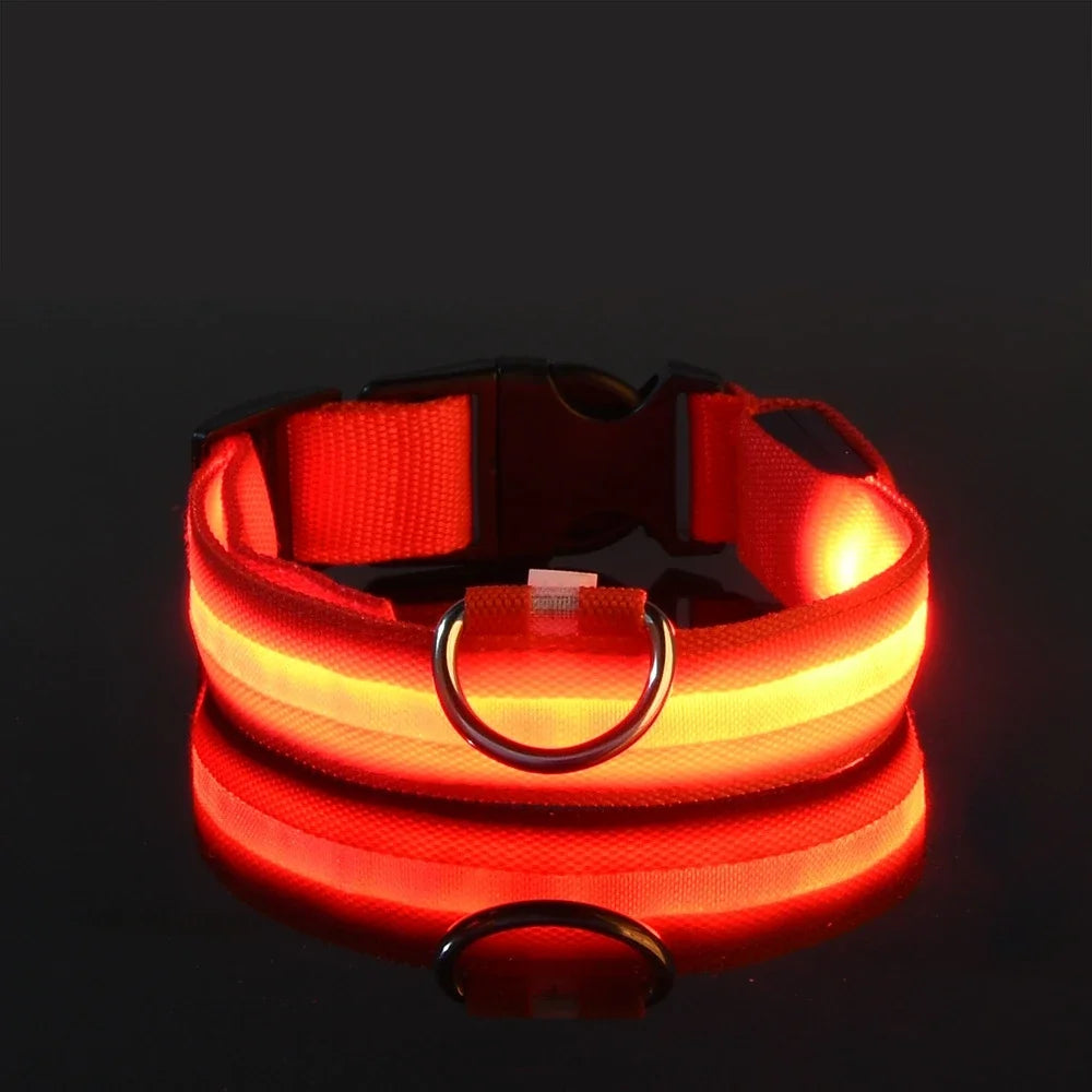 Nylon LED Night Safety Flashing Glow In The Dark Dog Collar