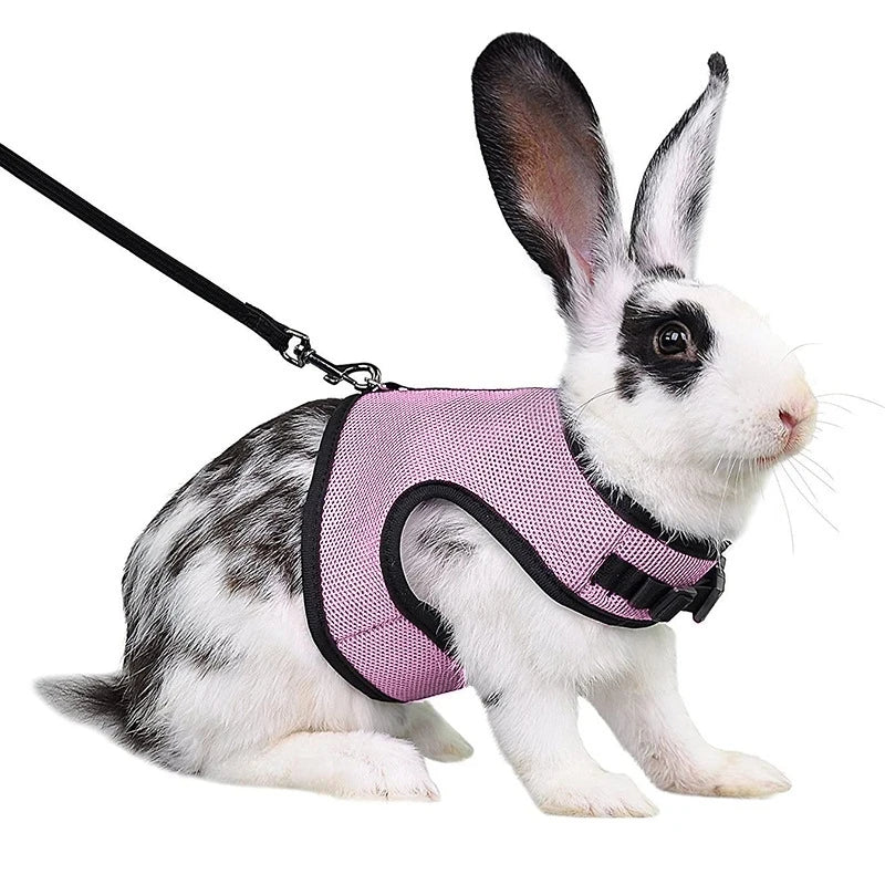 Breathable Mutil-Colors Stylish Vest Small Pet Carrier Bag