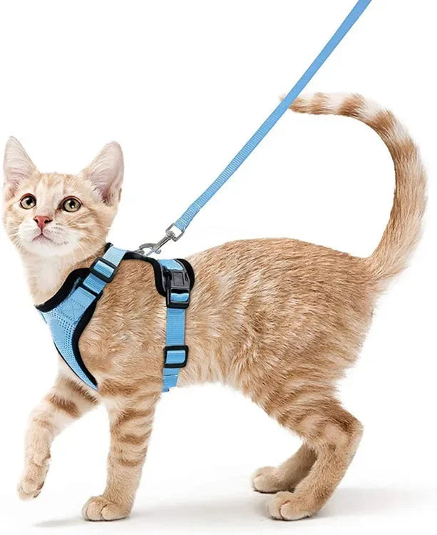 ATUBAN Cat Harness and Leash Set