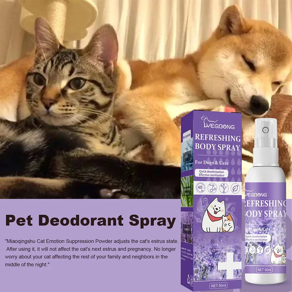 Lavender Oil Dog Deodorizer Spray – Long-Lasting Odor Removal for Dogs & Cats 🐶🐱🌿