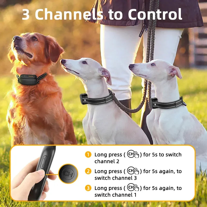 OJECO Electric Dog Training Collar – Rechargeable Remote-Controlled Waterproof Bark Control Collar 🐶📡