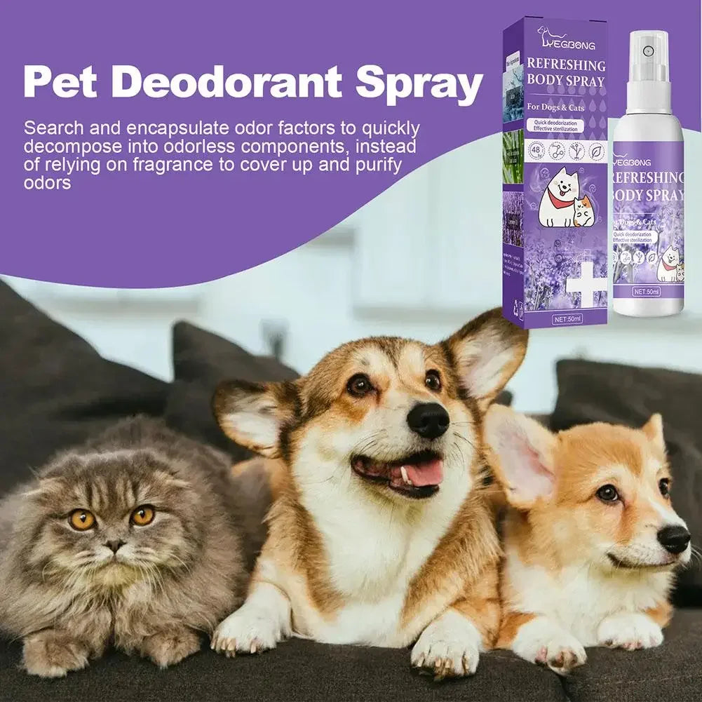 Lavender Oil Dog Deodorizer Spray – Long-Lasting Odor Removal for Dogs & Cats 🐶🐱🌿