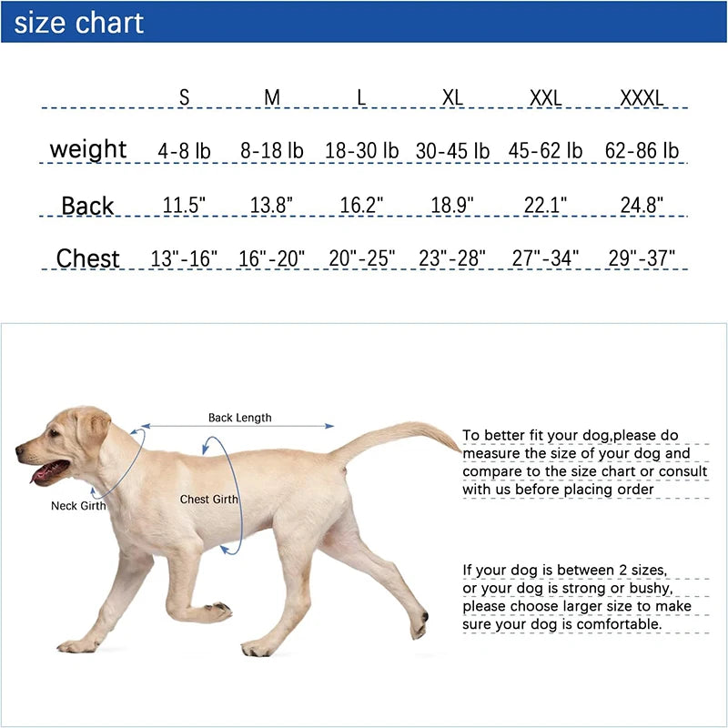 Abdominal Wound Surgical Dog Recovery Suit