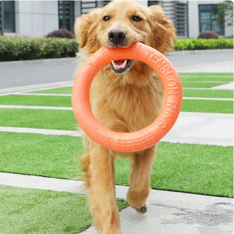 Orange Dog Toys Pet Flying Disk