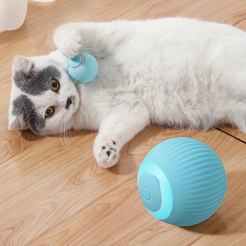 Smart Interactive Cat Toy Ball – Automatic Rolling & Electronic Play Ball for Indoor Cats 🐱⚡