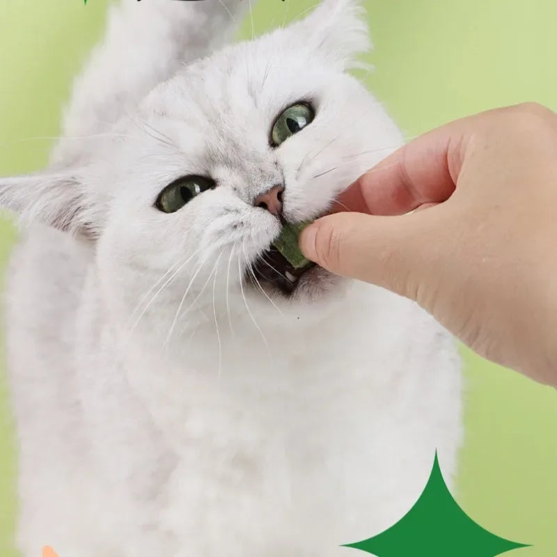 reeze-Dried Cat Grass Tablets – Hairball Control & Digestive Health Treats for Cats 🐱