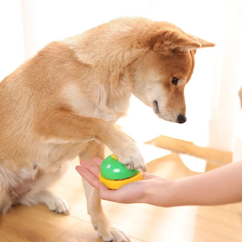 Interactive Toy Called Dinner Small Bells