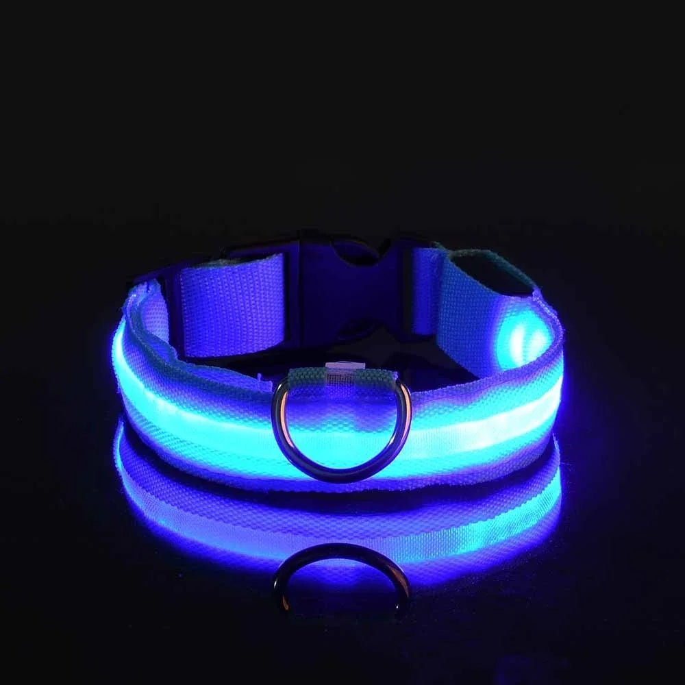 Nylon LED Night Safety Flashing Glow In The Dark Dog Collar