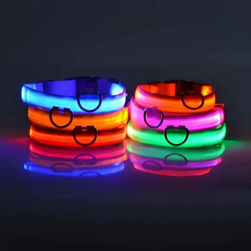 Nylon LED Night Safety Flashing Glow In The Dark Dog Collar