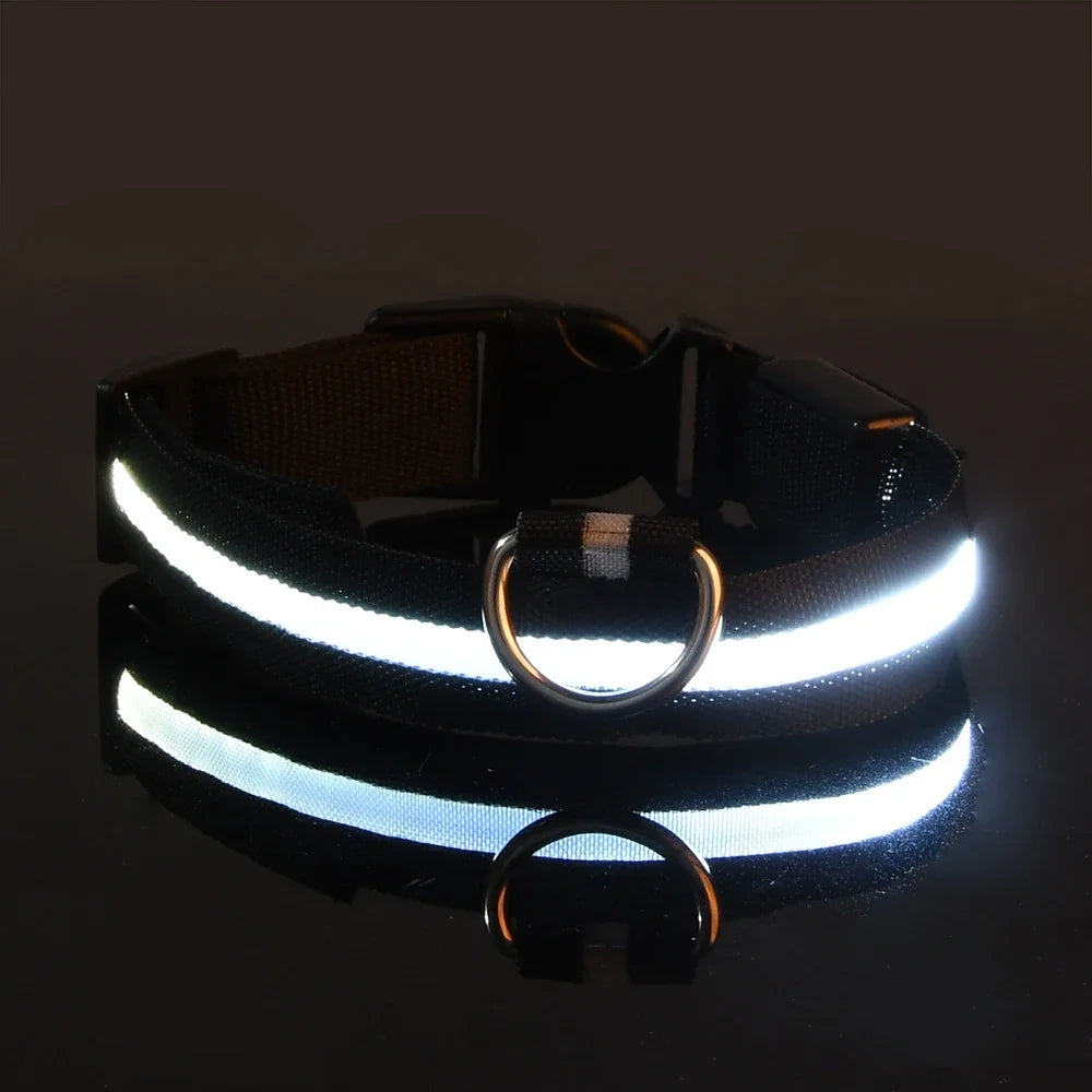 Nylon LED Night Safety Flashing Glow In The Dark Dog Collar