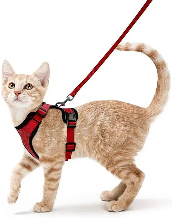 ATUBAN Cat Harness and Leash Set