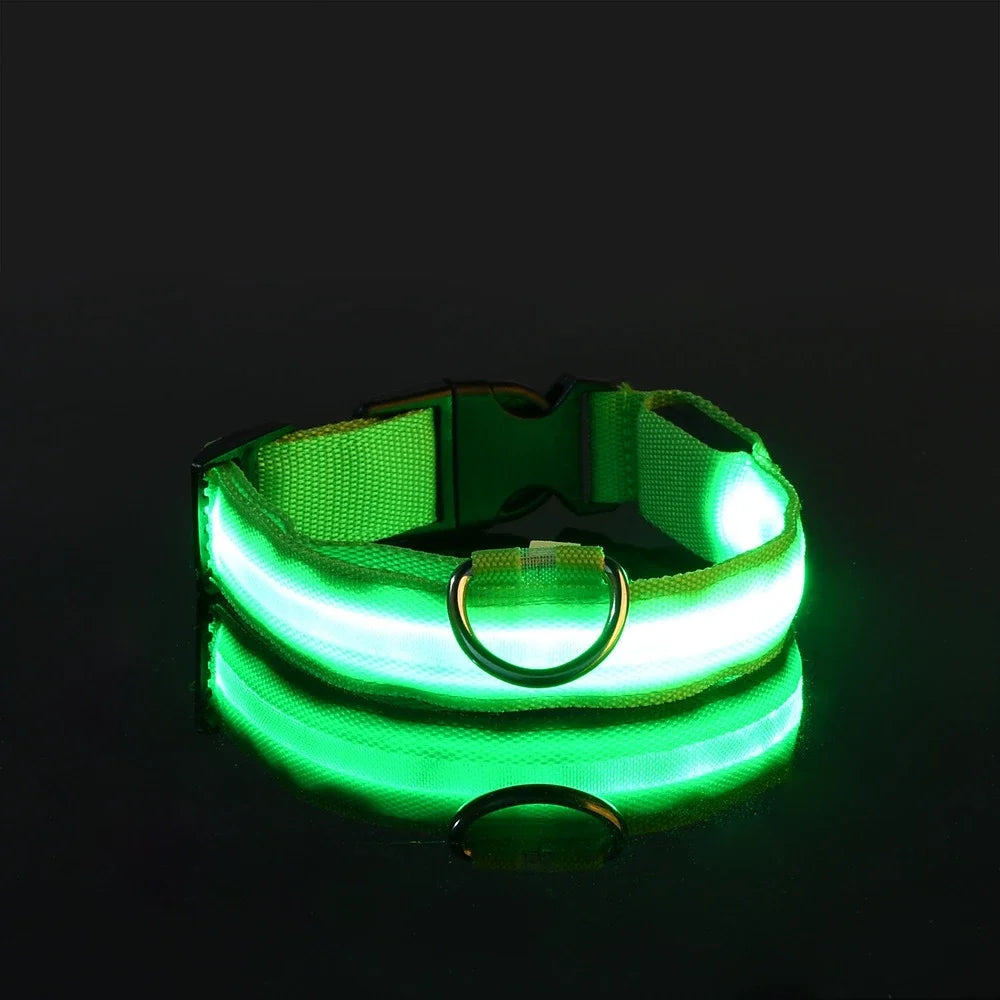 Nylon LED Night Safety Flashing Glow In The Dark Dog Collar