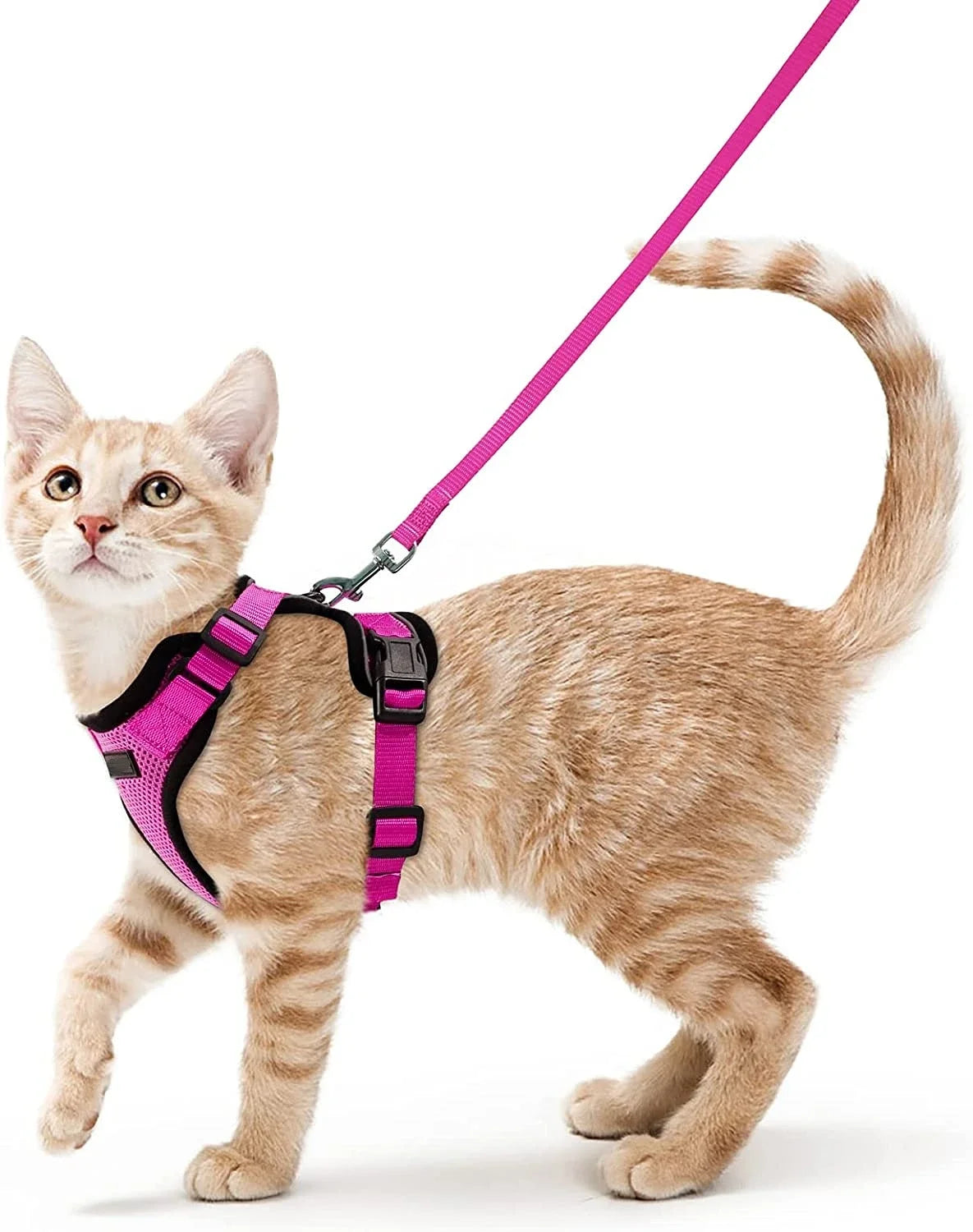 ATUBAN Cat Harness and Leash Set