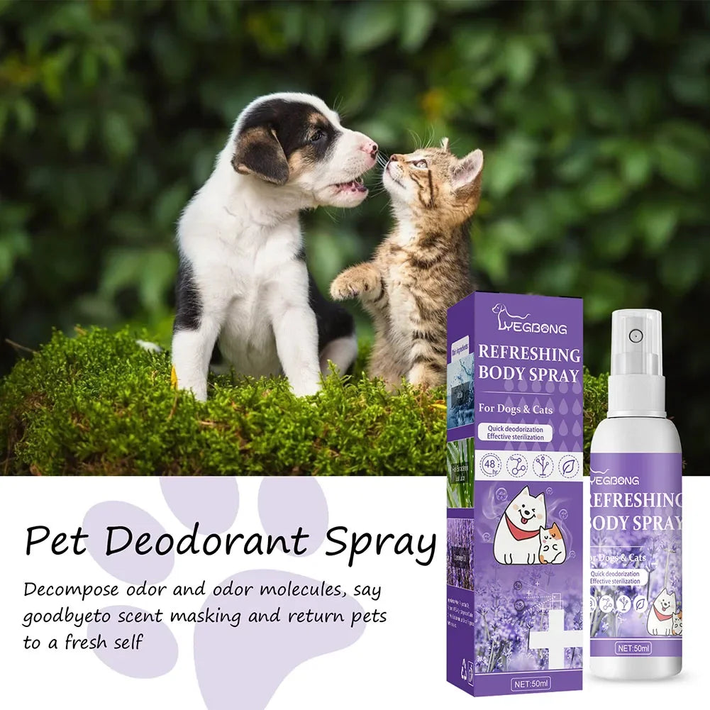 Lavender Oil Dog Deodorizer Spray – Long-Lasting Odor Removal for Dogs & Cats 🐶🐱🌿