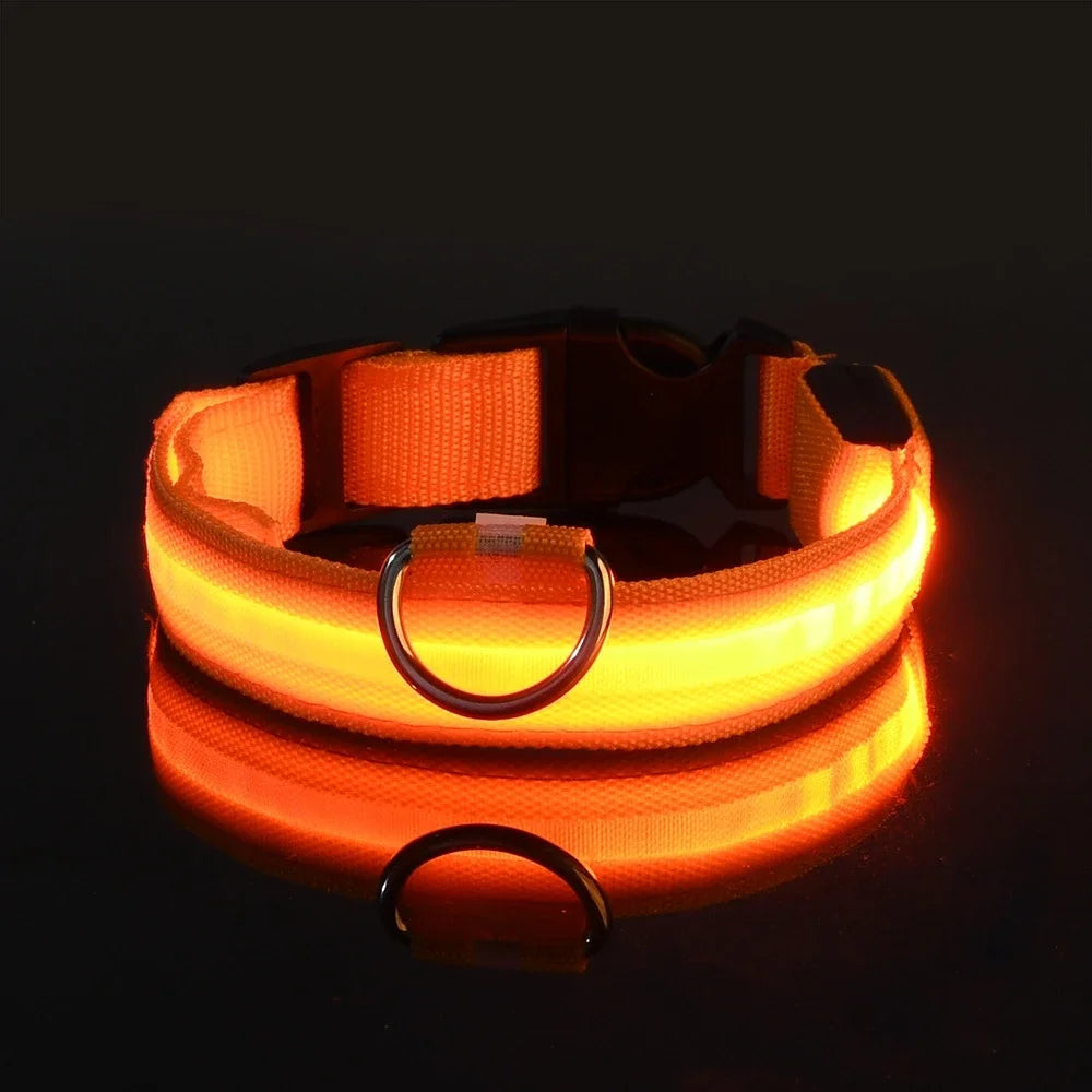 Nylon LED Night Safety Flashing Glow In The Dark Dog Collar