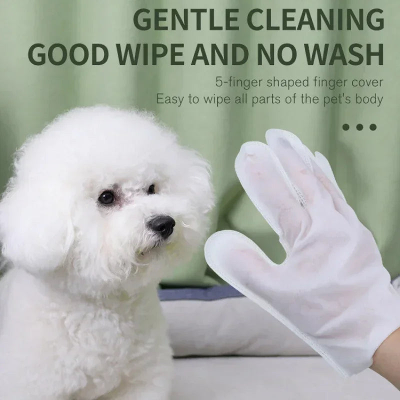 No Rinse Cleaning Gloves