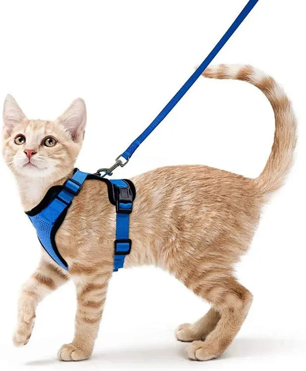 ATUBAN Cat Harness and Leash Set