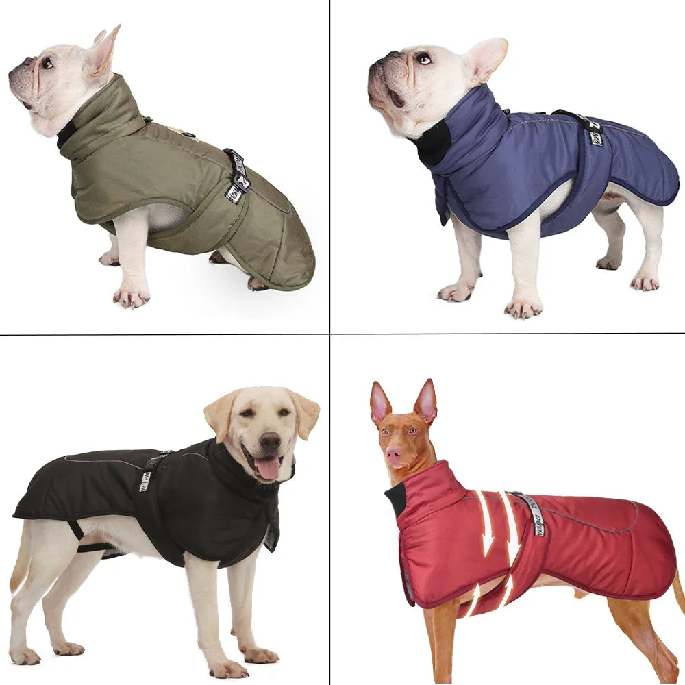 CDDMPET Winter Dog Jacket – Warm & Stylish Polyester Coat for Small, Medium & Large Dogs 🐶