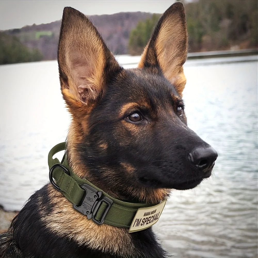 Heavy-Duty Tactical Dog Collar – Military-Grade K9 Collar with Handle for Training & Outdoor Adventures 🐕🎖️