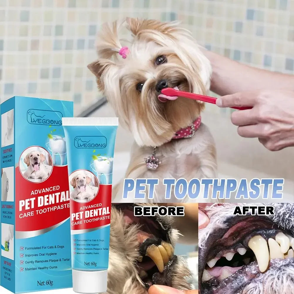 Pet Toothpaste for Dogs & Cats – Fresh Breath & Tartar Control Oral Care 🦷🐾