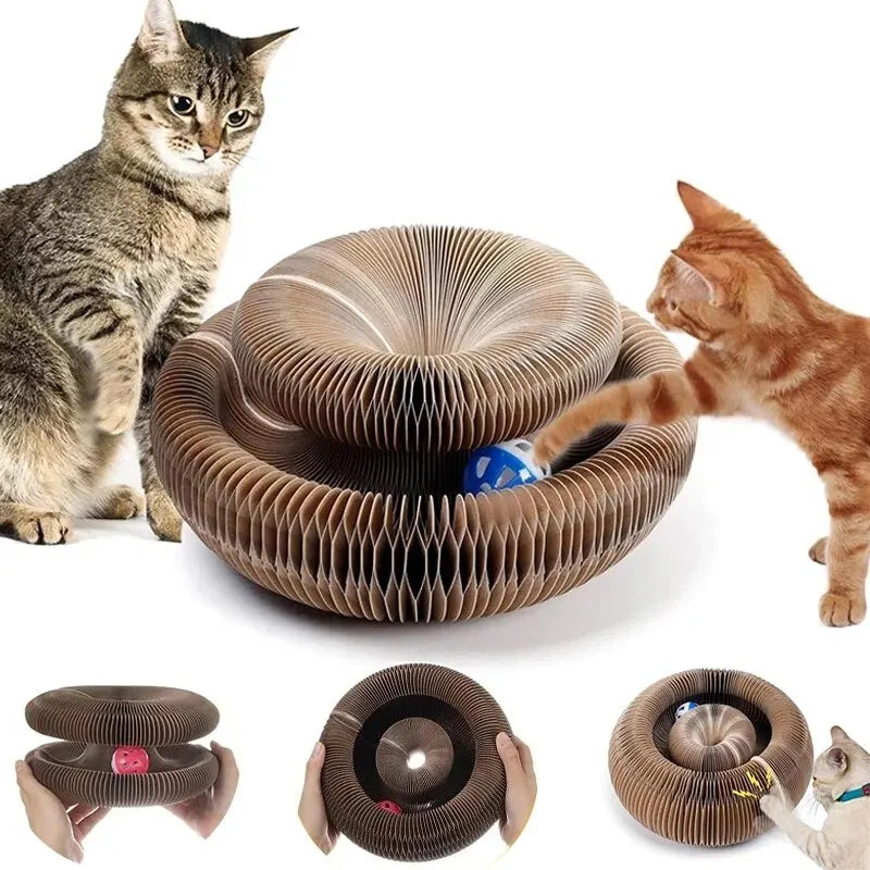 Magic Cat Scratch Organ Board – Interactive Cat Toy with Ball & Claw Grinding Scratcher 🐱🎾