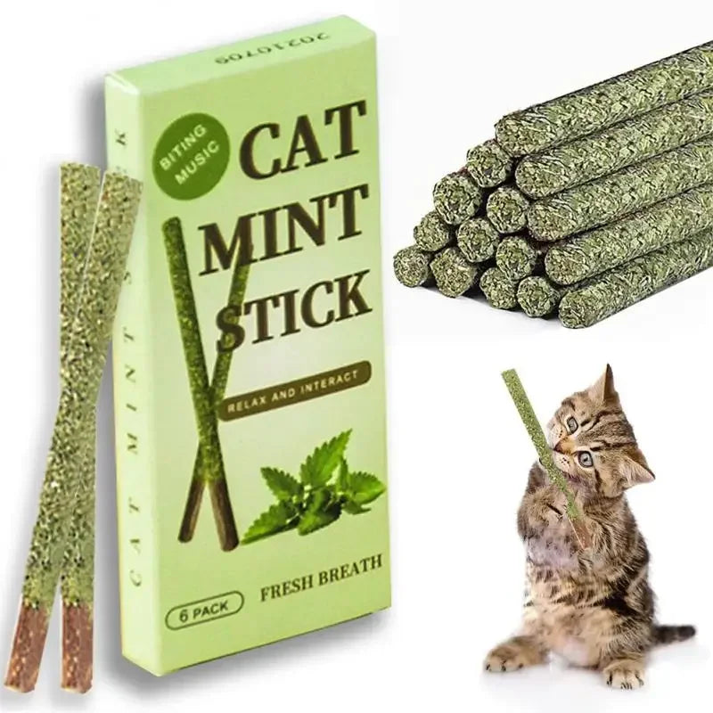 Natural Matatabi Cat Sticks – Silvervine Chew Toys for Healthy Teeth & Playtime 🐱🌿