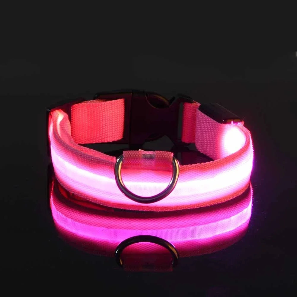 Nylon LED Night Safety Flashing Glow In The Dark Dog Collar