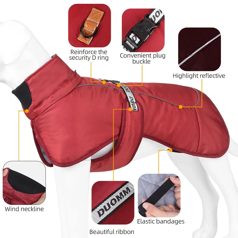 CDDMPET Winter Dog Jacket – Warm & Stylish Polyester Coat for Small, Medium & Large Dogs 🐶