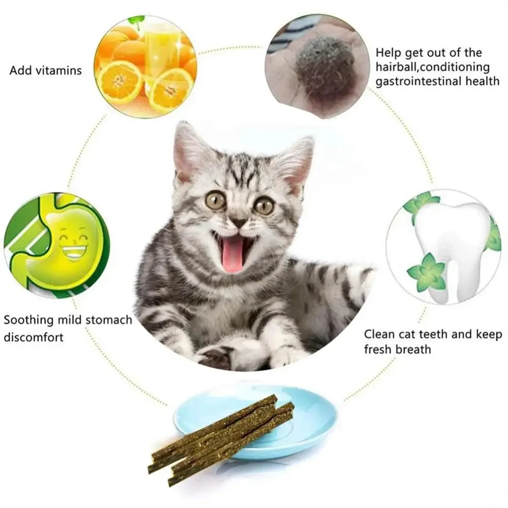 Natural Matatabi Cat Sticks – Silvervine Chew Toys for Healthy Teeth & Playtime 🐱🌿