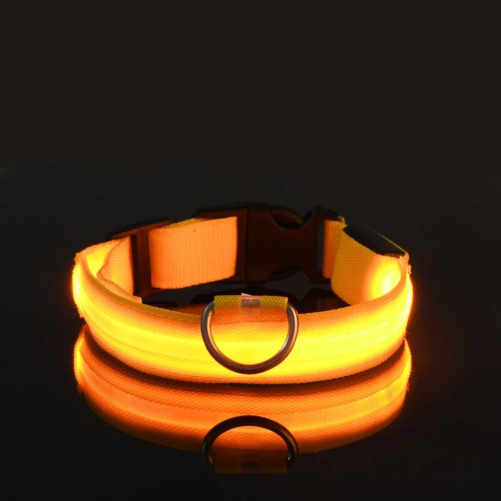 Nylon LED Night Safety Flashing Glow In The Dark Dog Collar